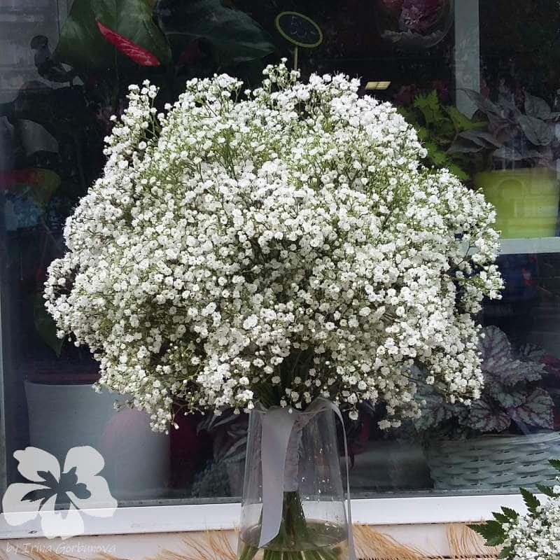 Bride's bouquet