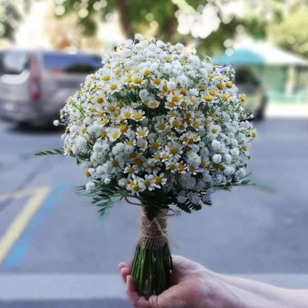 Bride's bouquet